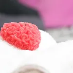 The Maze 3* ヴィボ・ヴァレンツィア