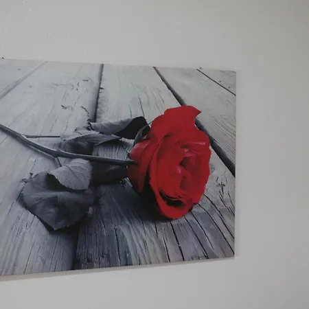 The Maze Vibo Valentia