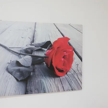 The Maze 3* Vibo Valentia