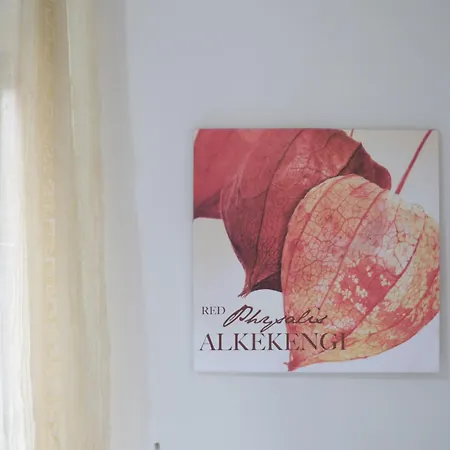 Alojamento de Acomodação e Pequeno-almoço The Maze