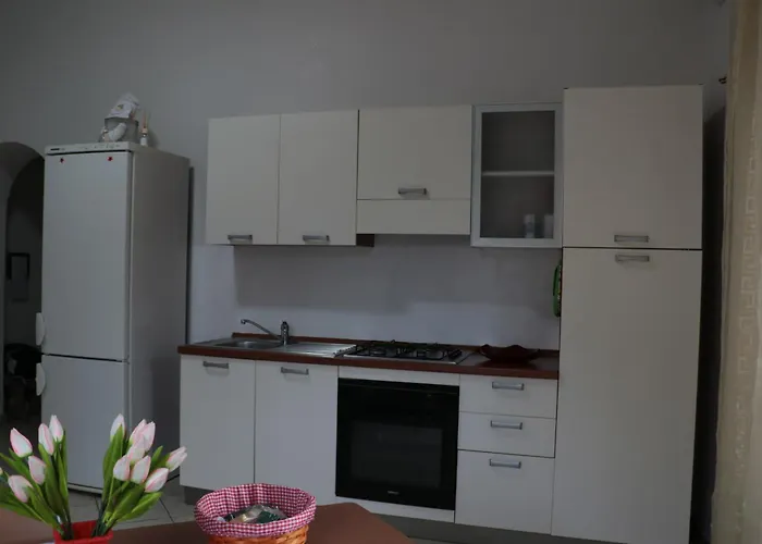 The Maze 住宿加早餐酒店 维博瓦伦蒂亚