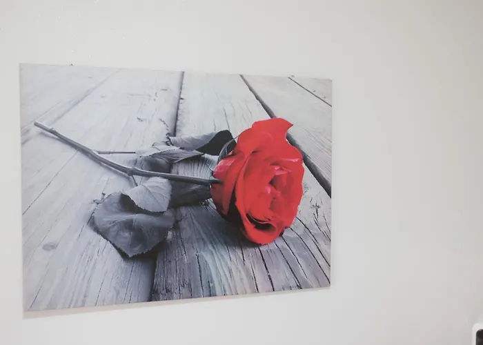 The Maze 3* 维博瓦伦蒂亚