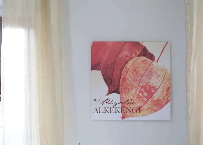 住宿加早餐酒店 The Maze