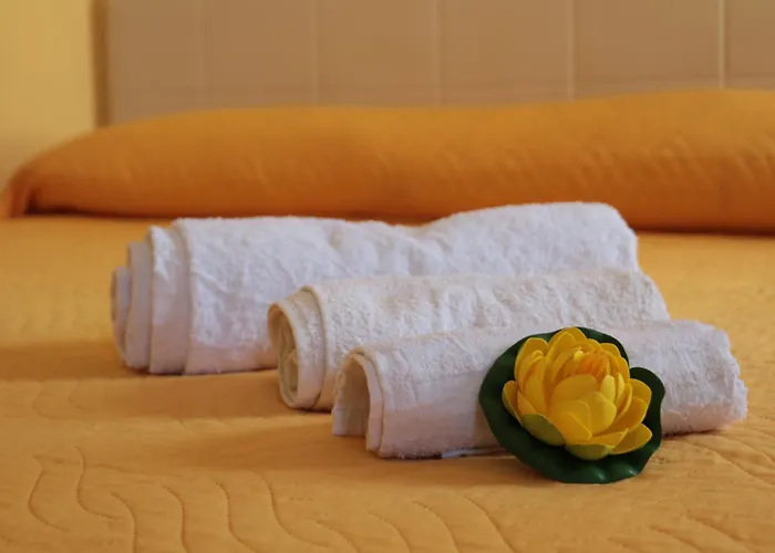 住宿加早餐酒店 The Maze 3*