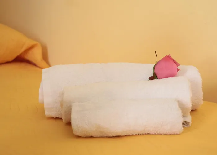 The Maze 住宿加早餐酒店 维博瓦伦蒂亚