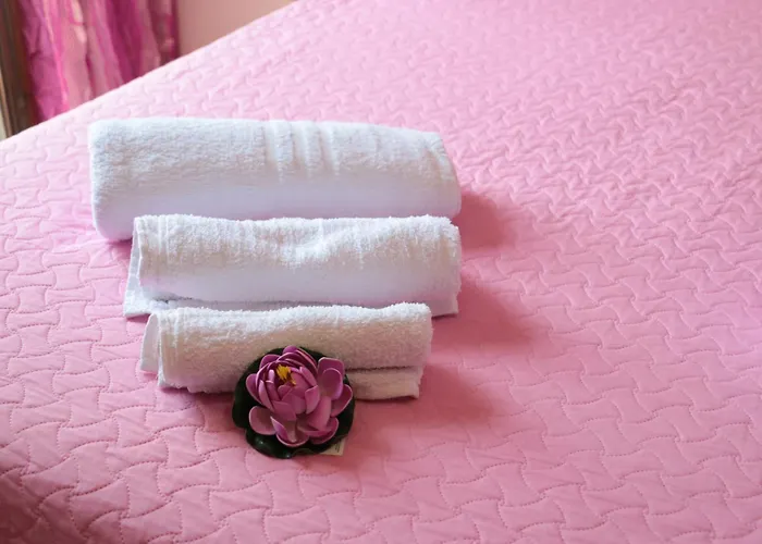 The Maze 维博瓦伦蒂亚